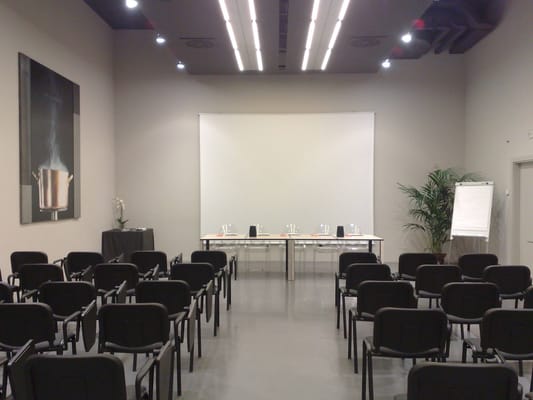 Meeting Art Hotel Olympic Torino 08